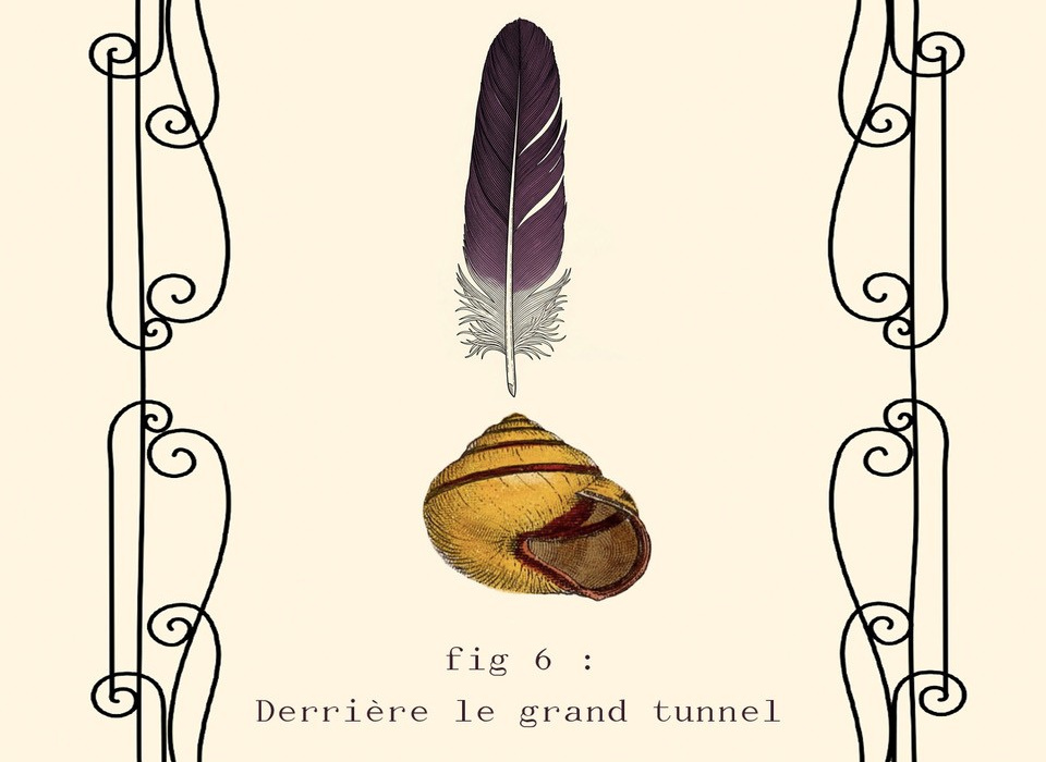 Derrière le Grand Tunnel – Carton Cie